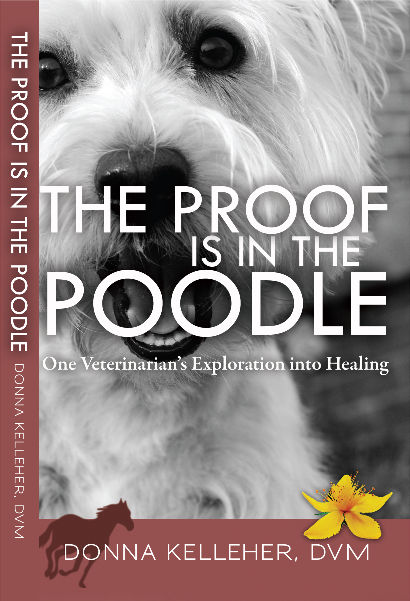 Proof is in the Poodle